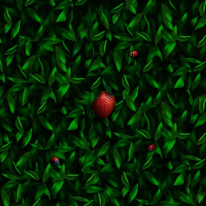 L'oie et fraise. Série Part 2